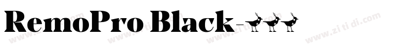 RemoPro Black字体转换